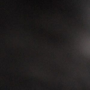 Meet your Posher, Mylee